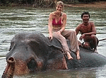 Amateur sex photos of lovely wife enjoying vacation with hubby in Thailand. In the midday they ride elephants and in the night they fuck like rabbits